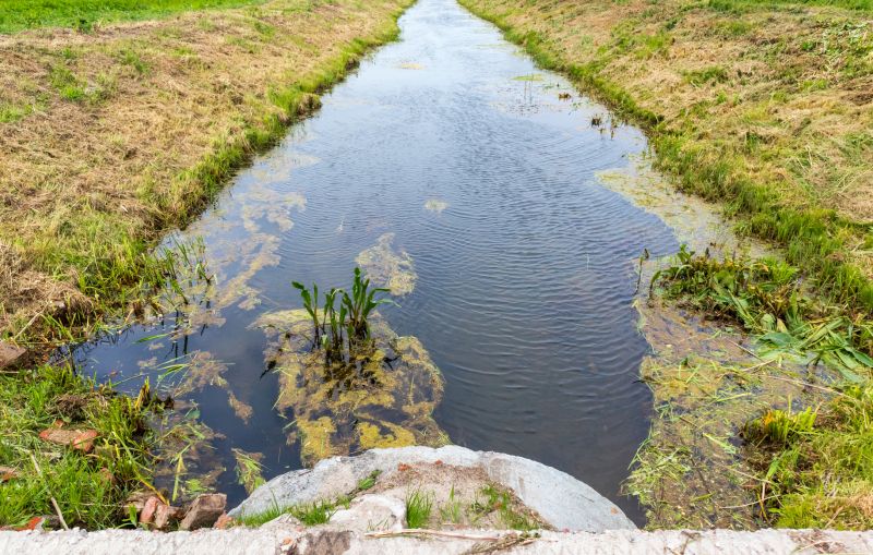 Drain Unblocking detail