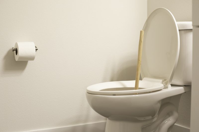 Toilet Plunging detail