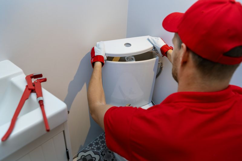 Toilet Repair detail