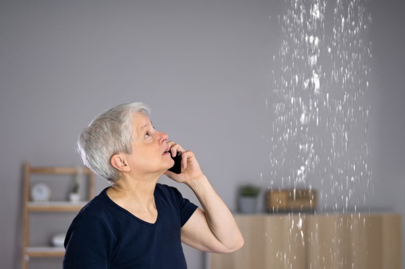 Cost of Water Leak Detection in Fort Myers, FL